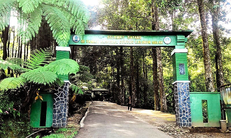 Eksplore Kawah Ratu 